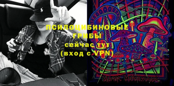 тгк Абинск