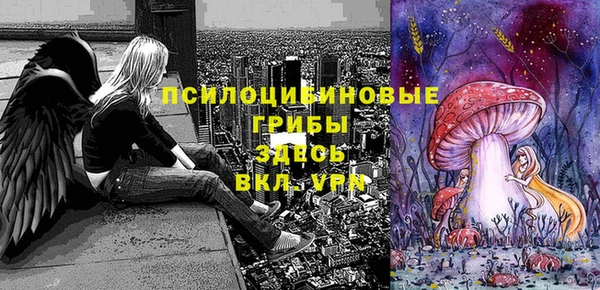 кокаин премиум Няндома